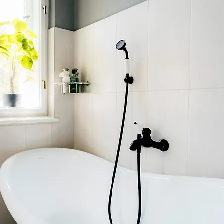 Business & Family Letna *